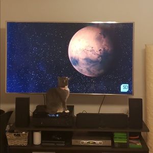 Meet your Posher, Janice